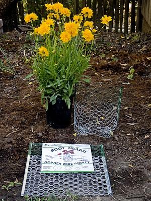 Control Gopher for Efficient Planting Digger’s 2-Gallon Root Guard Speed Baskets for Plants 2-Pack 